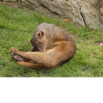 Ericplay31 followers