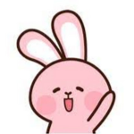 Pinkbunny Group