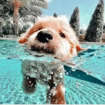 bartgshusky's Place Number: 19