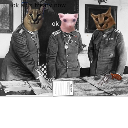 Bingus and the beloved Revival