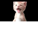 los panas miguel >:D Group Thumbnail