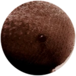 dG9rZW4= Roblox badge thumbnail