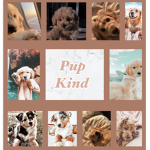 Pup kind