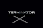 Terminator X