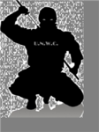 the ultimate ninja colation