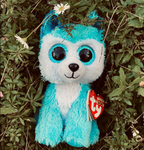 Beanie Boozzzz