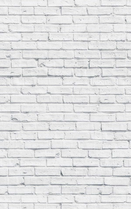 Full Wall Painting