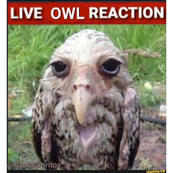 Baby Sack Attack [REMASTERED]