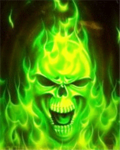 THE FLAMING SKULL BROTHERS
