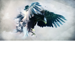 vaesdhf