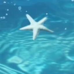 º・୨୧・~