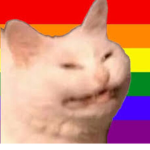 ~Gay Cats~