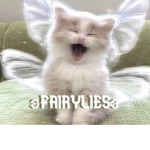 ʚfairyliesɞ