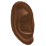 𝗬𝗫𝗕𝗗 𝗕𝗮𝘀𝗲 𝗘𝗮𝗿𝘀