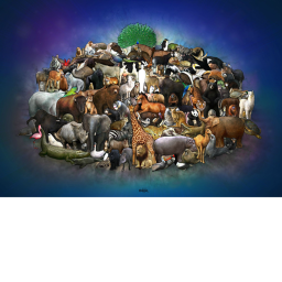 Animal Hangout