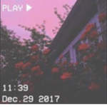 aesthetic_girlies