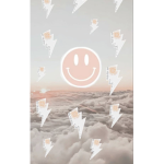 Sunshine’s fly