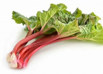 Rhubarb INC.