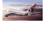 Qatar Airways Fans