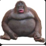 The-Monke-Group