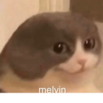 Melvin Fan Club