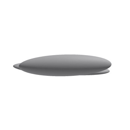 Roblox Hat 1