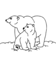 The Polar Bear Fan Club