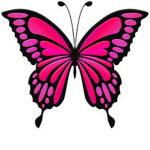 Butterfly Cute Group