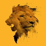 LionGamesStudio