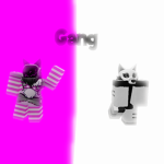 Wolfie/Protogen Gang