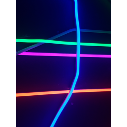 neon