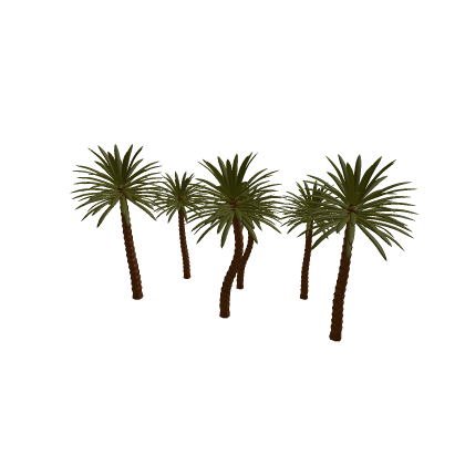 Palms