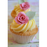 CUPCAKES EVERYDAY