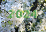 - Katelyn's Koala Kare <3