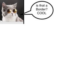 Supreme Cats BORDER [W.I.P]