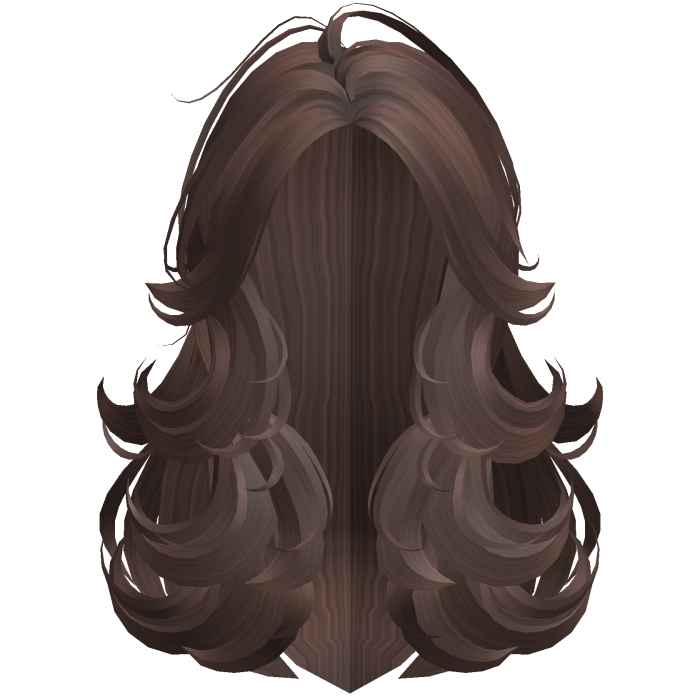 Wispy Brown Curled Blowout Hair