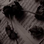 <3 INS4N1TY x S4N1TY <3