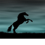 ~|Midnight Riders|~