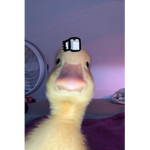 zer0klol