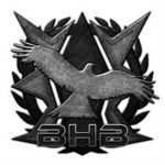 Black Hole Brigade