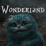 Wonderland°