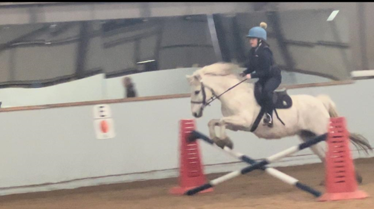 Windy Gate Horse Riding stables screenshot 1