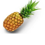 pineapple studios- :)