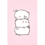 bunny and rabbit group