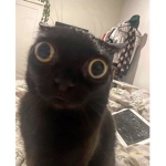 doritoezzzzz