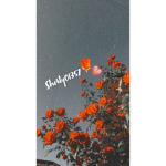 xAubreys groupx