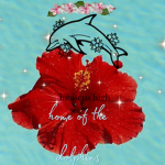 Hibiscus Acdemy