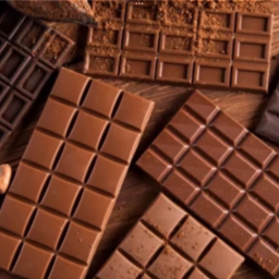 choclate tester