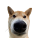 PotatoWars