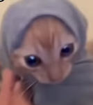 Kiandarkva